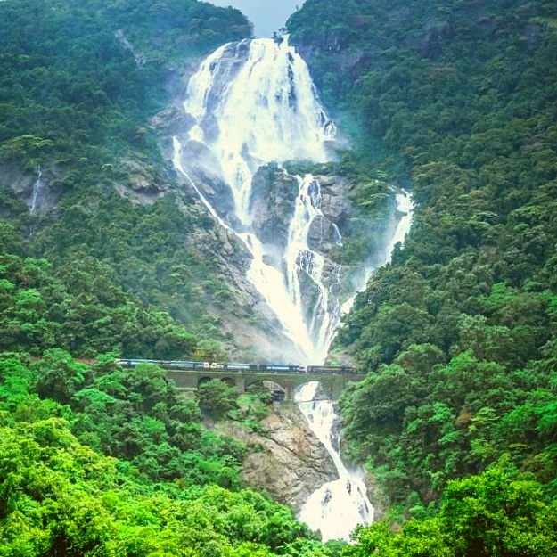 View of Dudhsagar Falls with water cascading down the rocky cliff surrounded by lush greenery and mist, creating a beautiful natural landscape