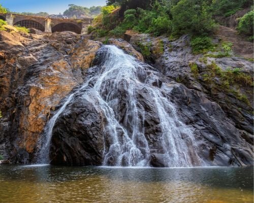 Dudhsagar Waterfall at the bottom with swimming area.