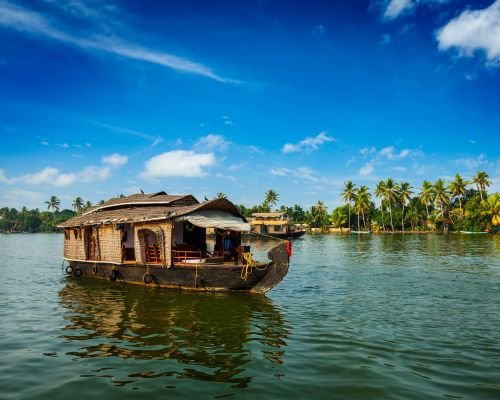 Houseboats Sailing on Backwaters with Lush Green Mangroves