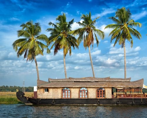 Houseboat on Backwaters with Coconut Trees