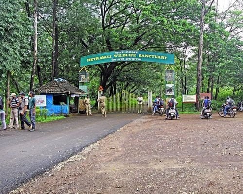 A panoramic entrance view of Netravali Wildlife Sanctuary, with lush green forests.