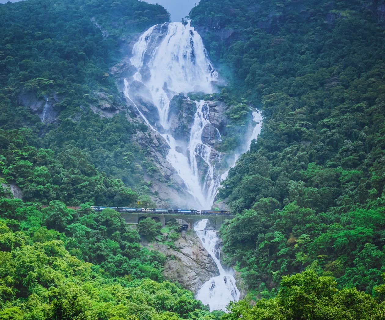 Dudhsagar Waterfalls cascading down rocks surrounded by lush green forest