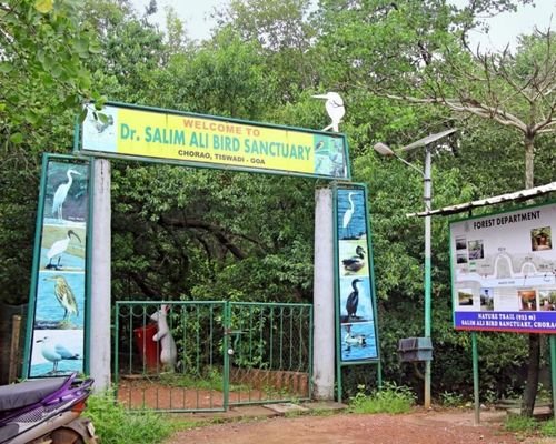 Colorful birds perched on branches in Salim Ali Bird Sanctuary. A look from the entrance.