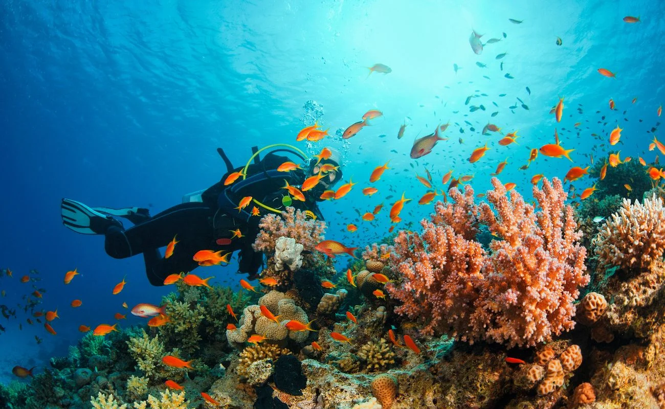 Scuba diving in Goa